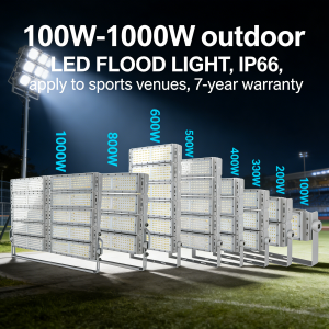 100W- 1000W LED Flood light
