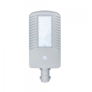40W 2 in 1 Solar LED Street Light