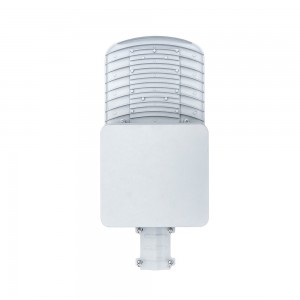 40W 2 in 1 Solar LED Street Light