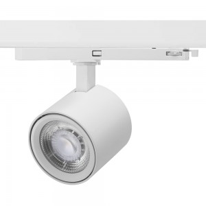 Top Suppliers Best Led Lights - 35W COB LED Track light – Lowcled